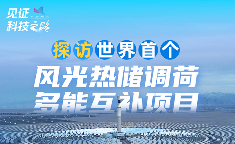 看戈壁滩上如何奏出“绿色”交响曲